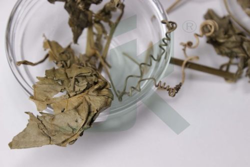 PASSIFLORA INCARNATA EXTRACT (Passion Flower Extract)