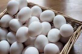 White Chicken Eggs