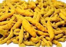 Turmeric Finger, Specialities : Controls Skin Problems, Zero Adulteration, Rich Aroma, Accurate Comosition .
