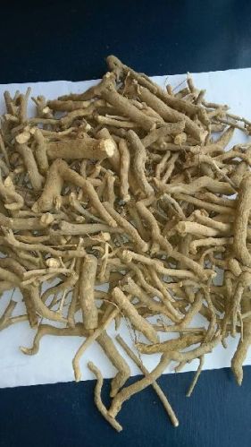 Ginseng Roots