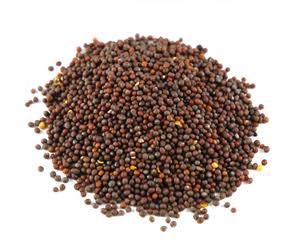 Mustard Seed