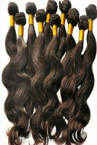 Processed Human Hair