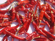 Red Chilli Sauce, Packaging Size : 680ml & 5Kg