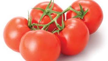 Fresh tomato, Speciality : Rich In Taste, Hygienic, Natural Taste, Healthy