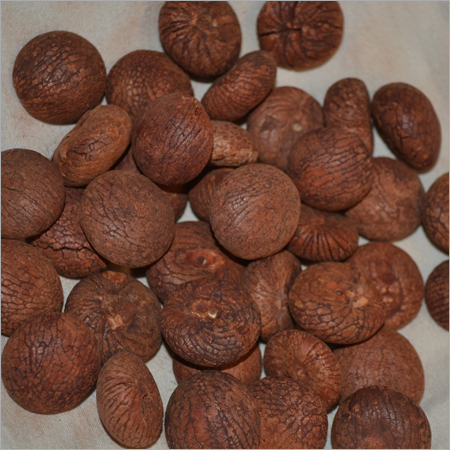 Oval Organic Red Betel Nuts, For Food, Herbal, Medicine, Form : Solid