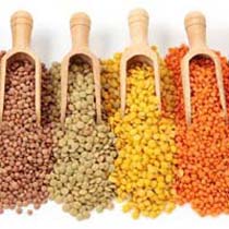 Indian Pulses