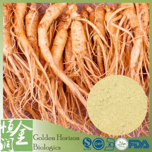 Ginsenosides Red Ginseng Root Extract
