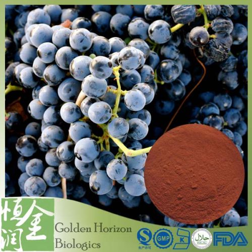 Grape Seed Extract