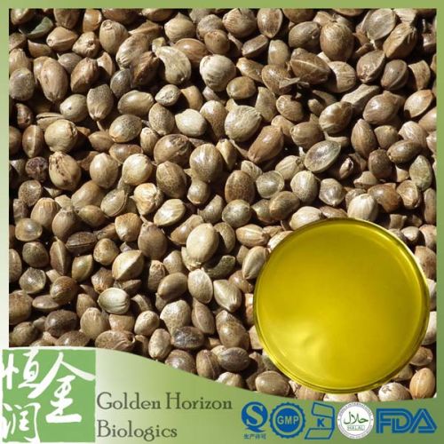 Hemp Seed Oil Hempseed Oil CBD Hemp Oil