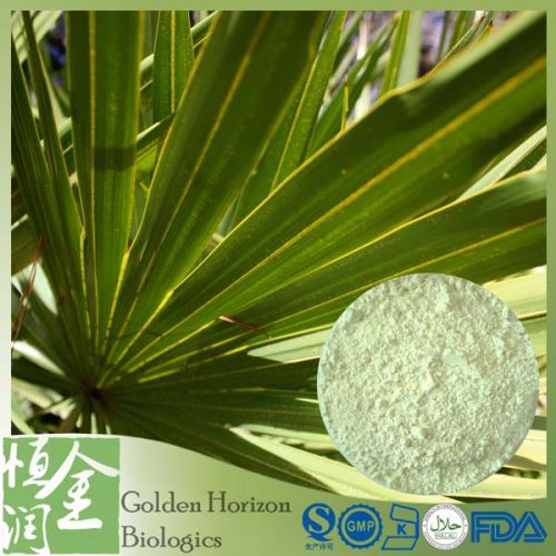 Serenoa Repens Saw Palmetto Extract