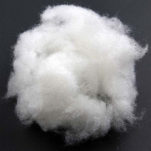 Cotton Fiber