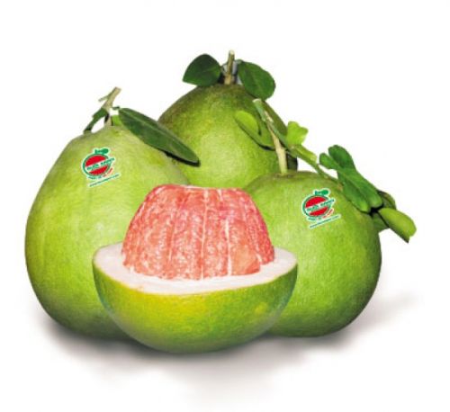 Fresh Pomelo, Packaging Type : green, Grade : AAA