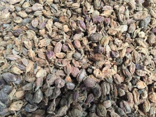 Black cardamom, Brand Name : LTL GLOBAL COMPANY