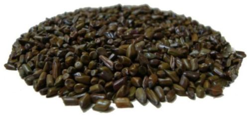 Viet Nam Cassia Tora Seeds With Good Quality