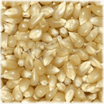 White Corn