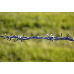 Barbed Iron Wire