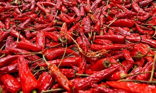 Dry red chilli, Storage Instructions : Dry Place