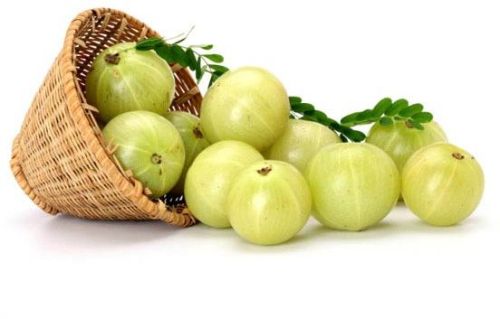 Fresh Amla, Packaging Size : 5Kg, 10Kg, 20Kg