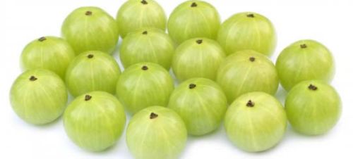 Fresh Gooseberry