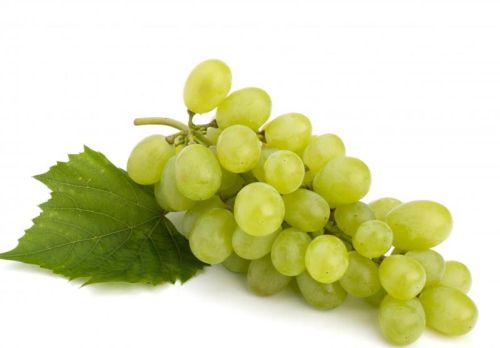 Fresh grapes, Size : Medium