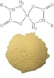 Zinc Amino Acid Chelate