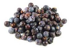 Organic Juniper Berries, Grade : Cosmetic, Pharma