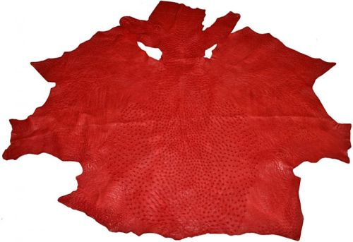 Finished Dry Salted Ostrich Skin Leather
