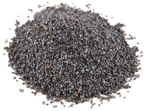 Poppy seeds, Certification : SGS Certified, ISO Certified