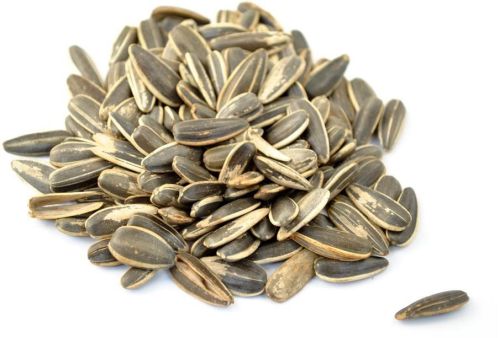 Sunflower seeds, Packaging Type : Bags for Cooking