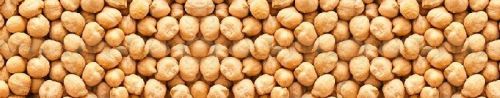 Organic Chick Peas