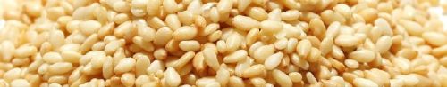 Sesame Oil Seed