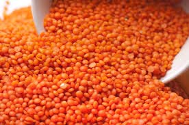 Red lentil
