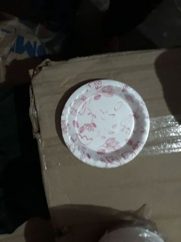 Disposable Printed Paper Plate