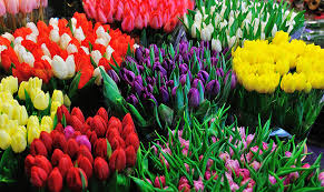 Fresh flowers, Storage Condition : Fresh