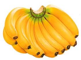 Fresh banana, Shelf Life : 3 to 5 Days