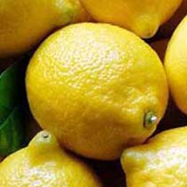 Lemon Application : Used for Making Pickles, Juice