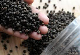 Black Pepper Seeds