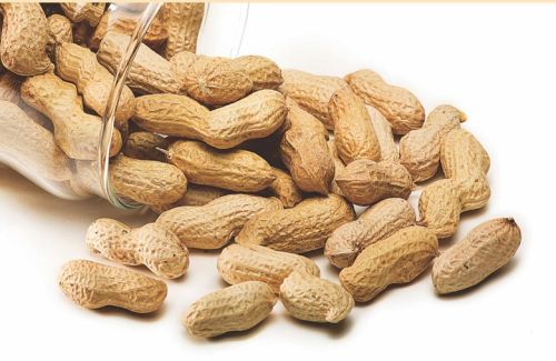 Common Shelled Groundnuts For Cooking, Oil Extraction, Snacks