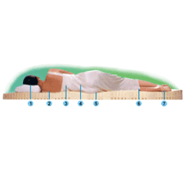 7 Zone Orthopedic Mattress