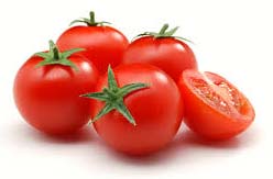 Fresh tomato, Packaging Size : 5-20kg