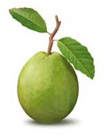 Guava Pulp