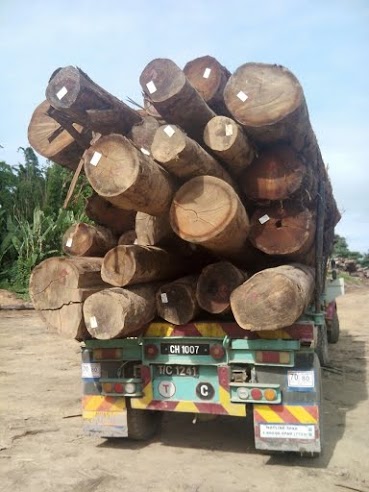 Dark Red Meranti Wood