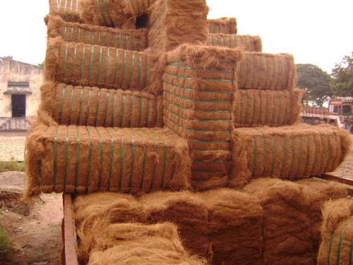 Brown Coir Fibre