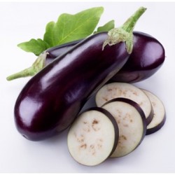 Fresh Brinjal