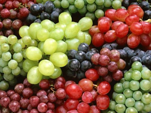 Fresh Grapes