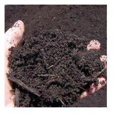 Organic Manure