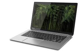 Sony Vio Branded Laptops