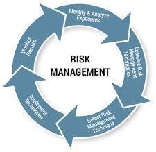 Enterprise Risk Management Services