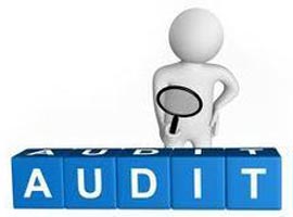Statutory Audit Services