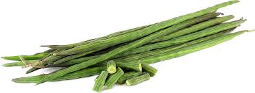 Fresh drumsticks, Feature : Good In Taste